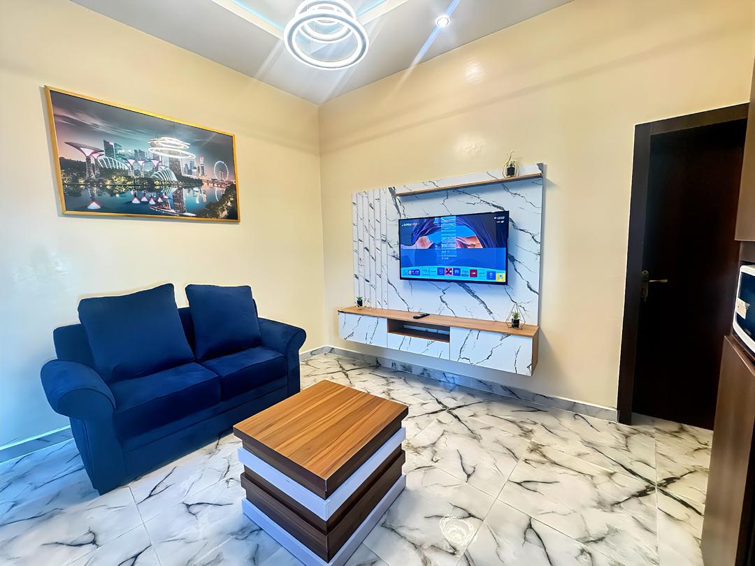 COZY AND SPACIOUS SINGLE BEDROOM APARTMENT IN WUYE,ABUJA
